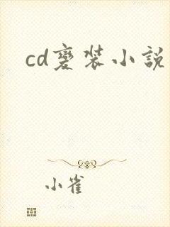 cd变装小说