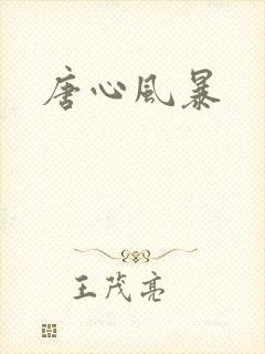 唐心风暴