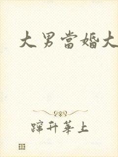 大男当婚大结局