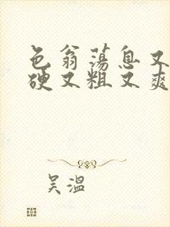 色翁荡息又大又硬又粗又爽