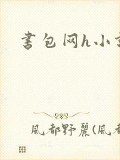 书包网h小说