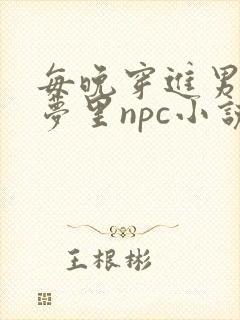 每晚穿进男神的梦里npc小说