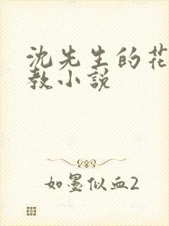 沈先生的花式调教小说