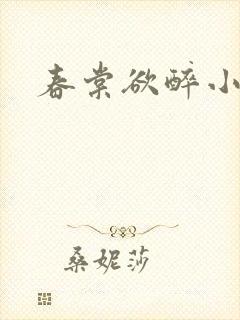 春棠欲醉小说