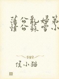 荡公乱妇第1章情公苏雪小说