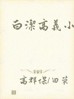 白洁高义小说