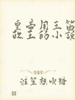 皇帝用玉笛整摄政王的小说封面