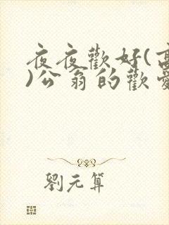 夜夜欢好(高h)公翁的欢爱封面