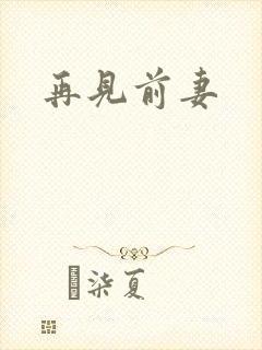 再见前妻封面