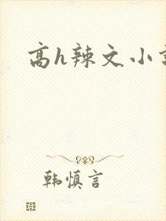 高h辣文小说