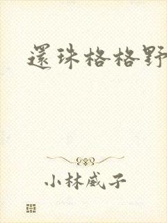 还珠格格野传