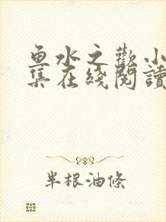 鱼水之欢小说全集在线阅读封面