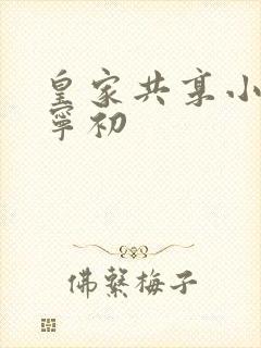 皇家共享小公主宁初