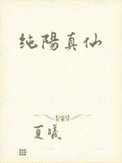 纯阳真仙