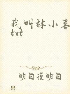 我叫林小喜小说txt