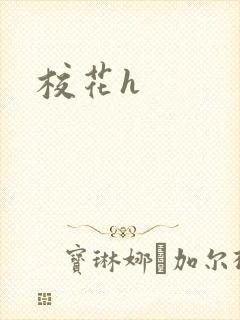 校花h