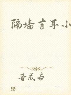 隔墙有耳小说