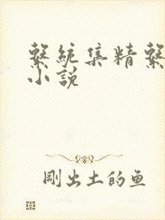 系统集精系统 小说
