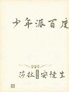 少年派百度百科封面