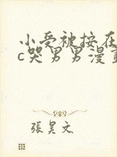 小受被按在墙上c哭男男漫画封面
