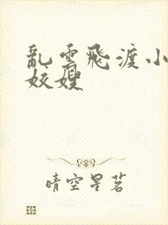 乱云飞渡小说之姣嫂封面