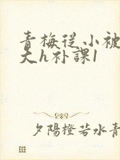 青梅从小被c到大h补课1