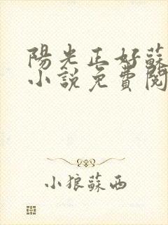 阳光正好苏玥玥小说免费阅读无弹窗