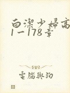 白洁少妇高义第1一178章