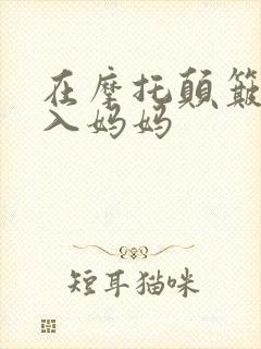 在摩托颠簸中进入妈妈封面
