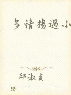 多情杨过小说封面