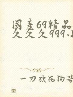 国产69精品久久久久999小说