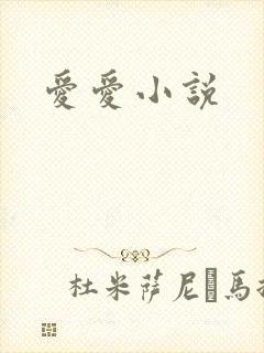爱爱小说