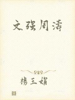 文强周涛