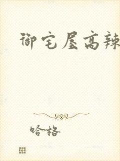 御宅屋高辣文封面