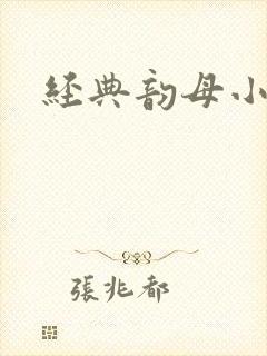 经典韵母小说封面