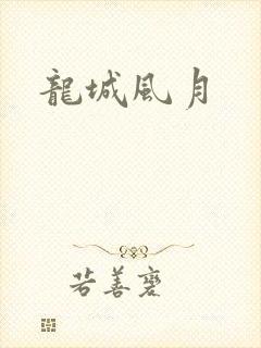 龙城风月封面