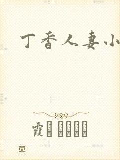 丁香人妻小说封面