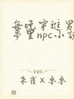 每晚穿进男神的梦里npc小说