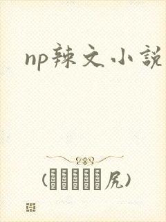 np辣文小说