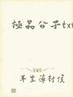 极品公子txt
