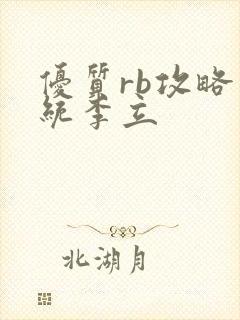 优质rb攻略系统李立封面