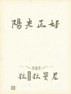 阳光正好封面