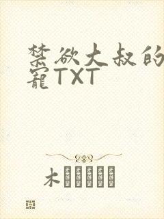 禁欲大叔的心尖宠TXT