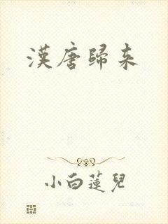 汉唐归来