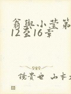 翁与小莹第十部12至16章封面