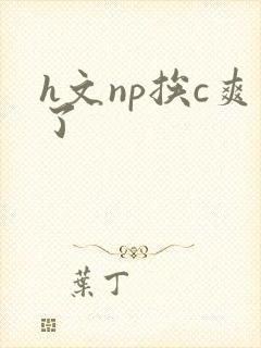 h文np挨c爽了
