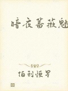 暗夜蔷薇魅
