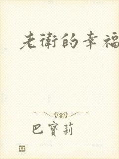 老卫的幸福生活封面
