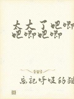 太大了吧唧吧唧吧唧吧唧