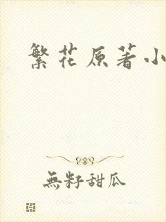 繁花原著小说